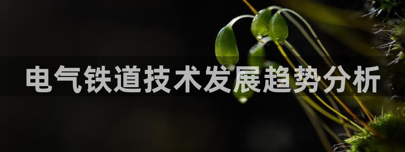 凯发娱乐国际厅