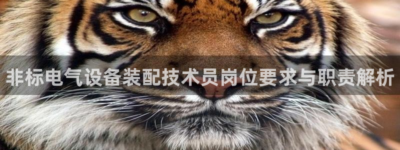 凯发k8国际真人版安全送38元