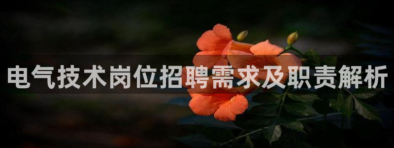 凯发k8国际版官网