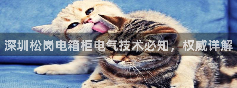 凯发k8娱乐要访问kf6819