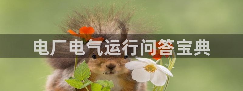 凯发k8国际真人娱乐旗舰厅