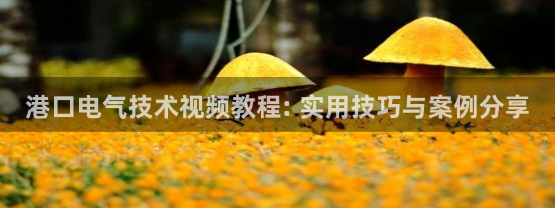 凯发k8娱乐是真实的吗