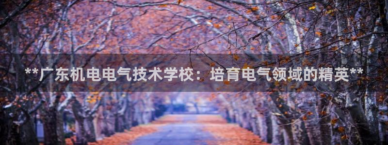 凯发a600丶cc官网首页