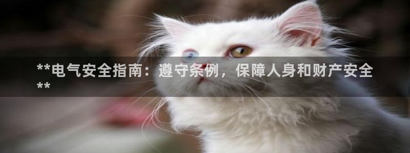 凯发平台风采