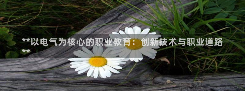 凯发k8娱乐是国内平台?