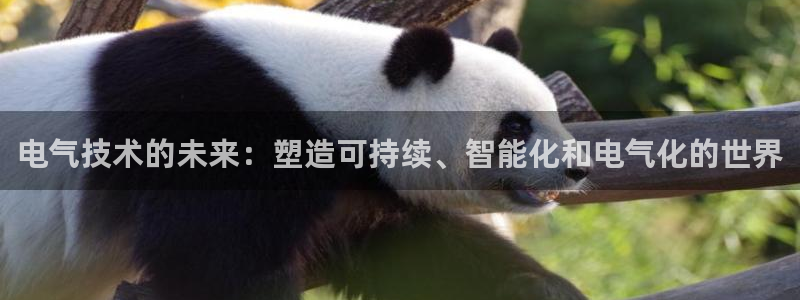 ks8凯发登录网址ios版下载