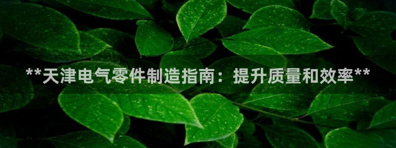 凯发正规网站