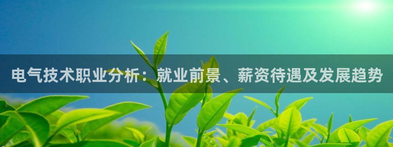 凯发平台开户：电气技术职业分析：就业前景、薪资待遇