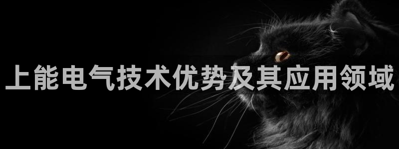 凯发国际是什么投资平台：上能电气技术优势及其应用领