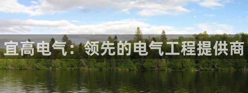 凯发a600丶cc官网首页：宜高电气：领先的电气工