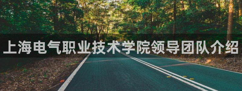 凯发k8娱乐：上海电气职业技术学院领导团队介绍